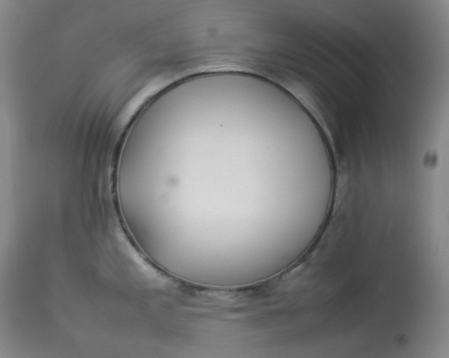 X0000112831197200909111350