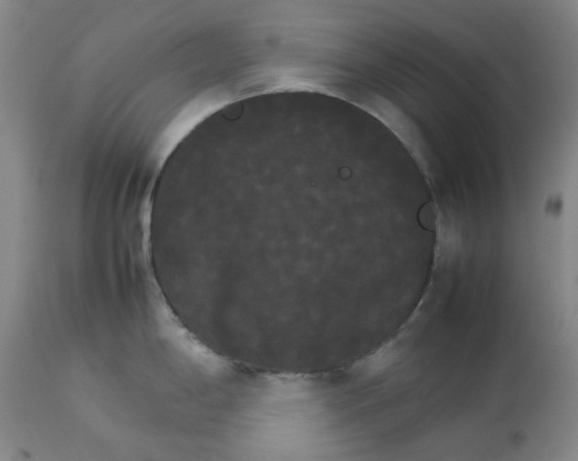 X0000112831198200909111350