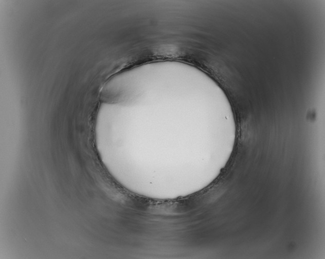 X0000112831201200909111349