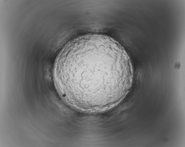 X0000112831202200909111349