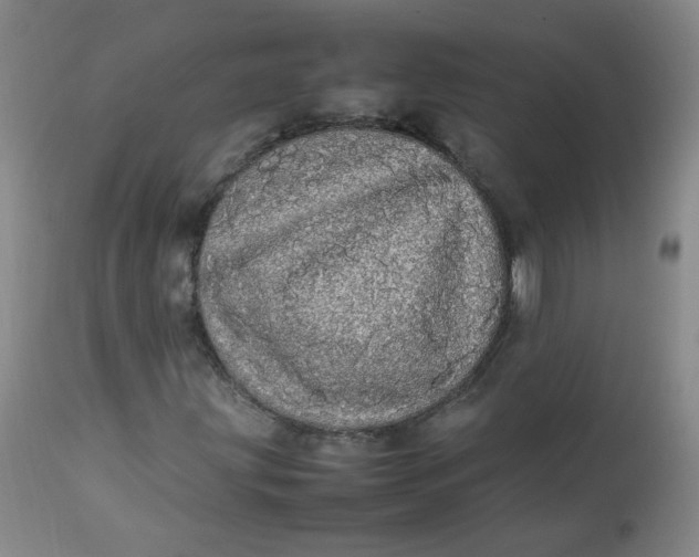 X0000112831203200909111349