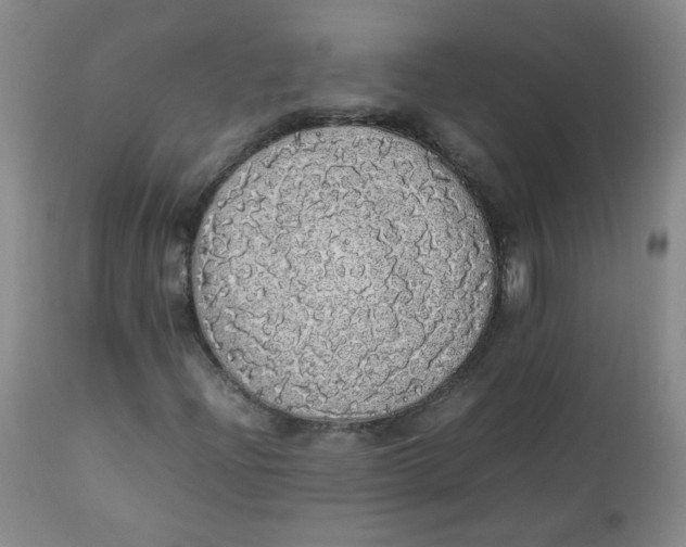 X0000112831204200909111349