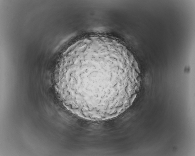 X0000112831205200909111349