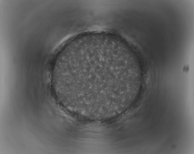 X0000112831206200909111349