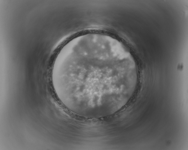 X0000112831208200909111349