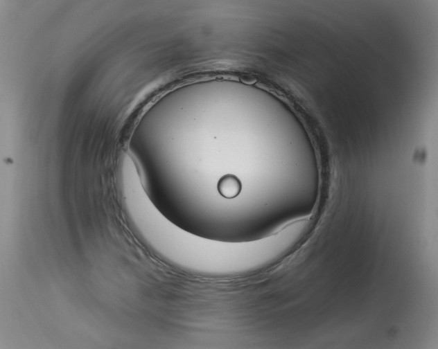 X0000112831210200909111349