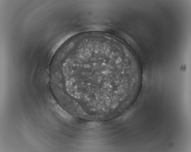 X0000112831212200909111349