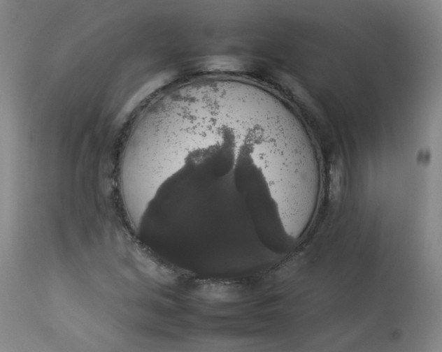 X0000112831213200909111349