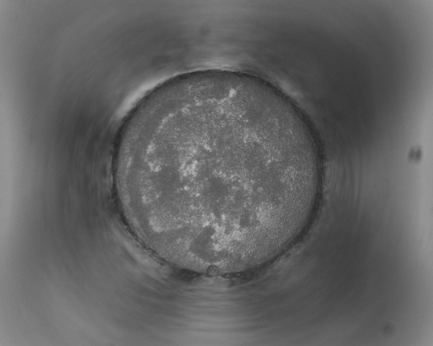 X0000112831214200909111349