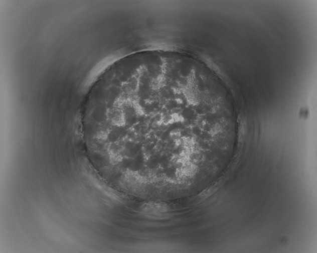 X0000112831215200909111349