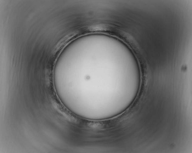 X0000112831217200909111349