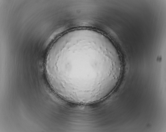 X0000112831218200909111349