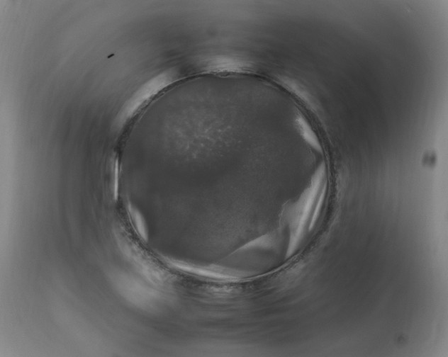 X0000112831219200909111349