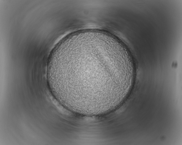 X0000112831220200909111349