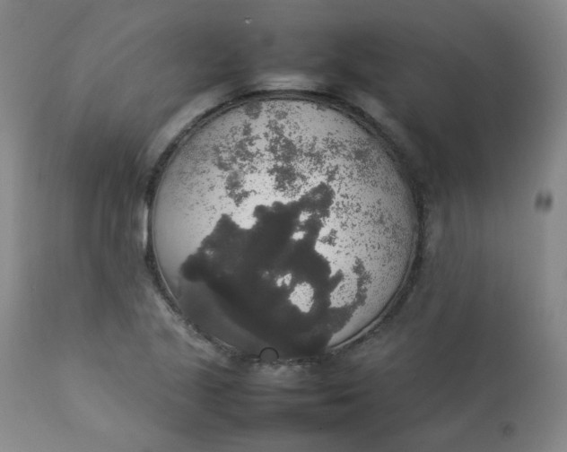 X0000112831221200909111349