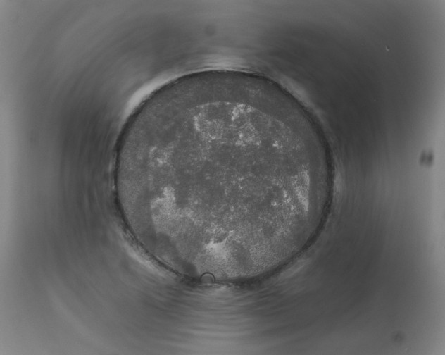 X0000112831222200909111349