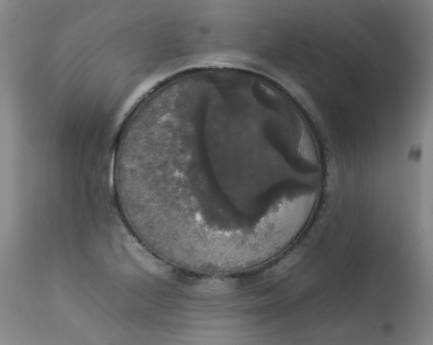 X0000112831224200909111349