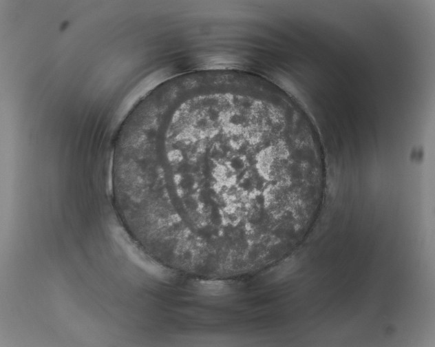 X0000112831227200909111350