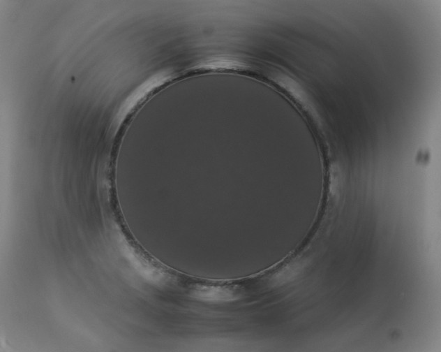 X0000112831229200909111350