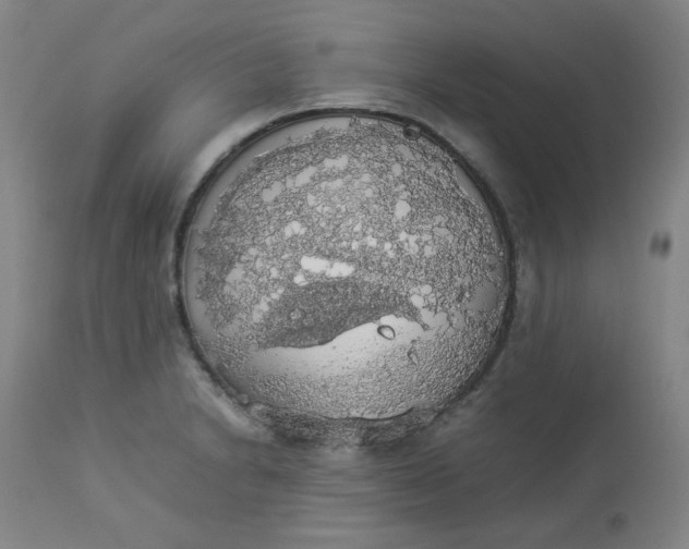 X0000112831230200909111350