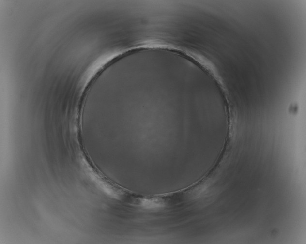 X0000112831231200909111350