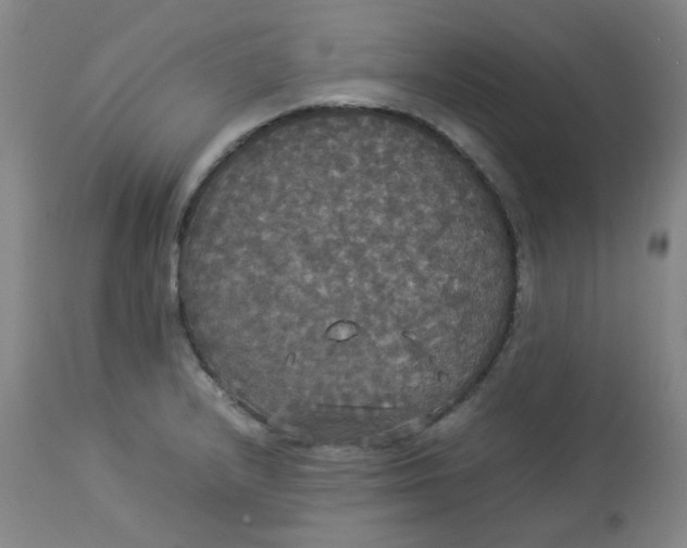 X0000112831232200909111350