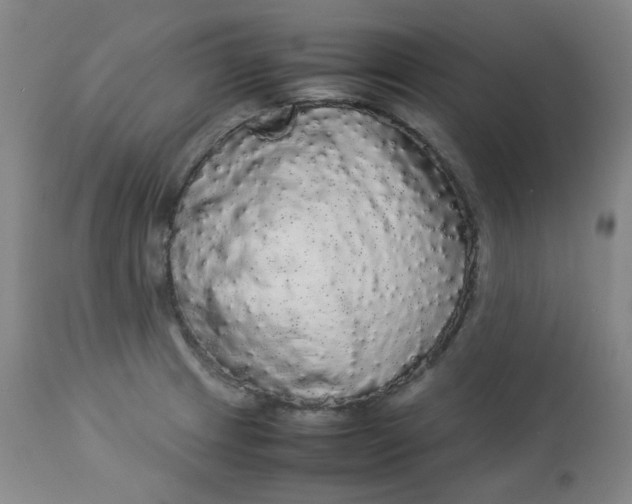 X0000112831233200909111350