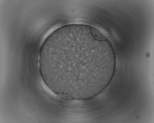 X0000112831238200909111350