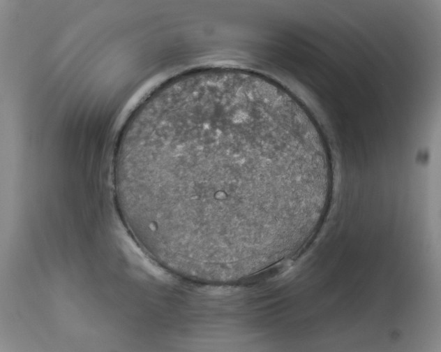 X0000112831240200909111350