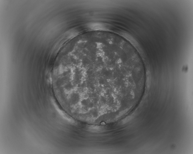 X0000112831241200909111350