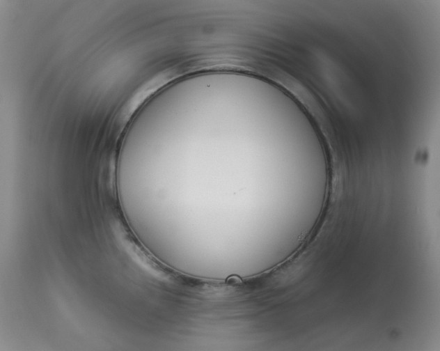 X0000112831242200909111350