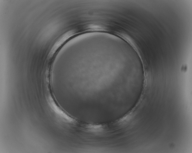 X0000112831243200909111350