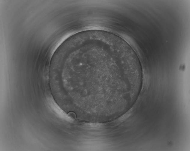 X0000112831244200909111350