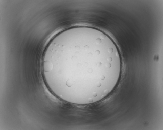 X0000112831245200909111350