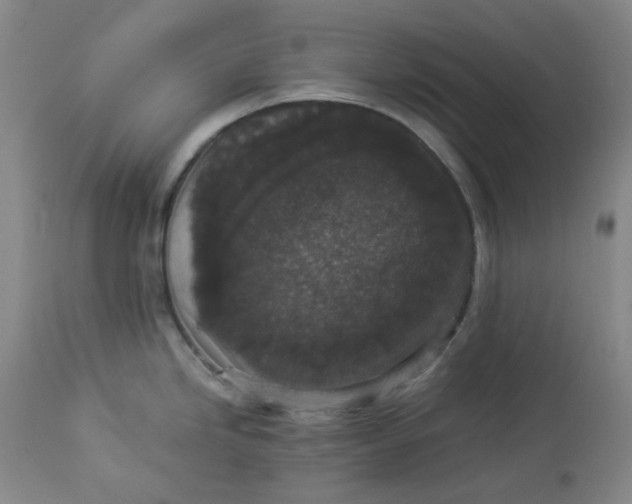 X0000112831246200909111350