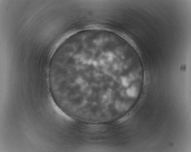 X0000112831247200909111350