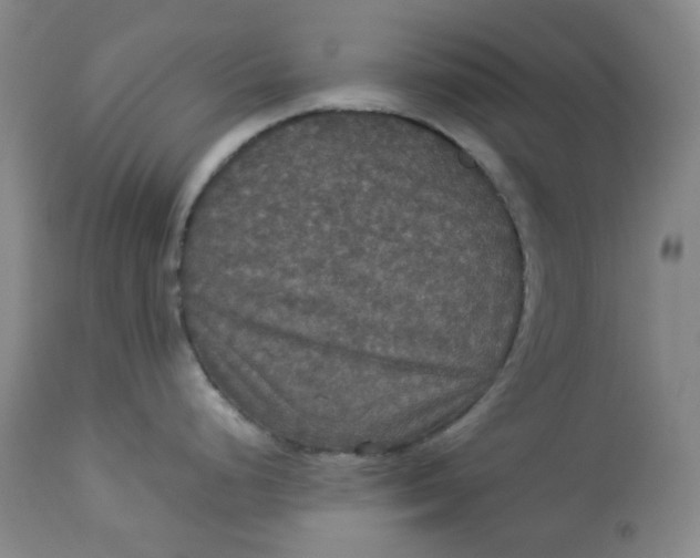 X0000112831248200909111350