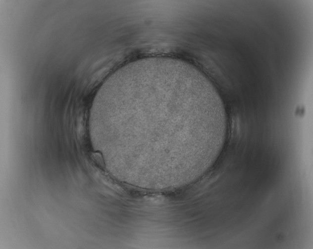 X0000112831250200909111349