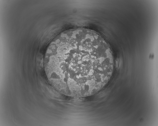 X0000112831251200909111349