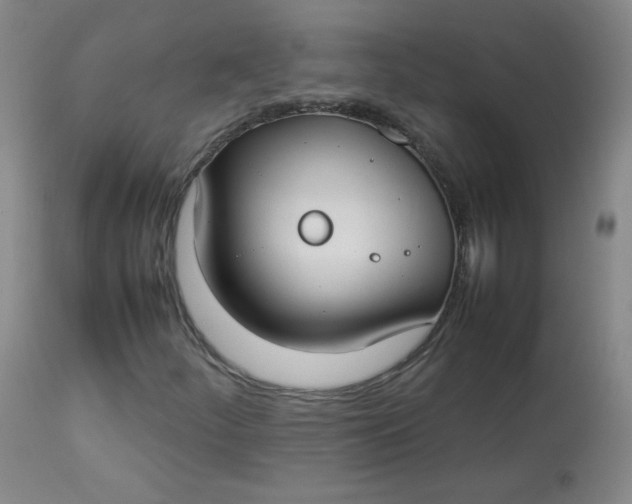 X0000112831252200909111349