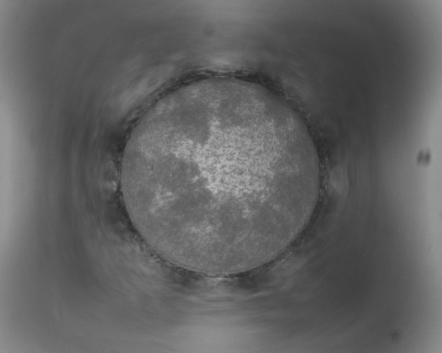 X0000112831253200909111349