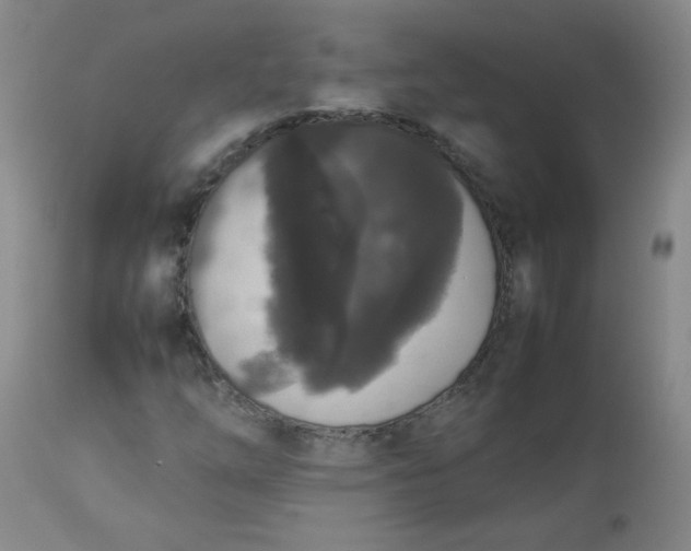 X0000112831254200909111349