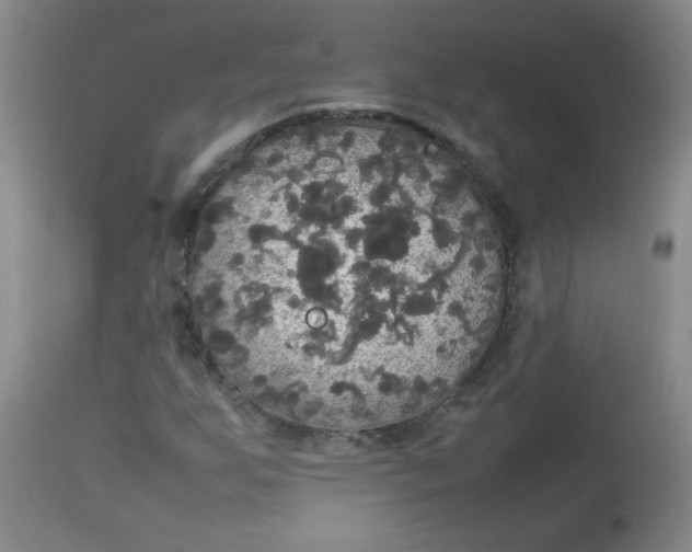 X0000112831255200909111349