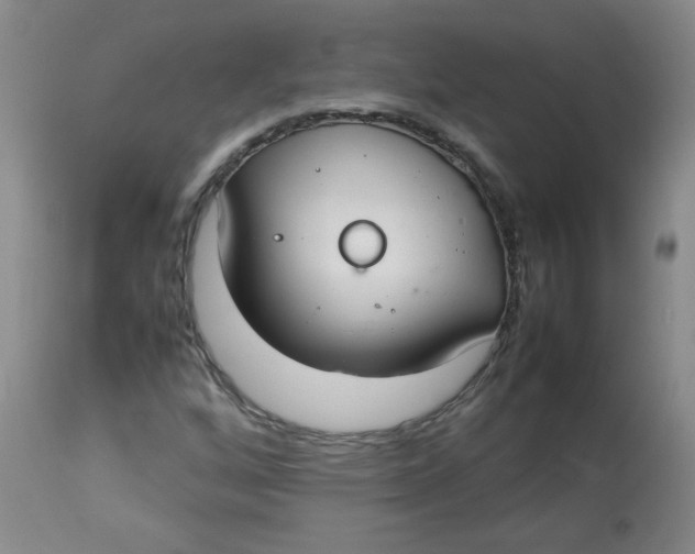 X0000112831256200909111349