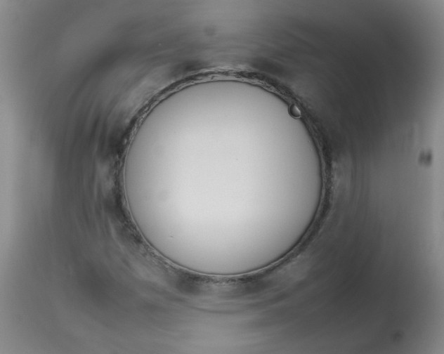 X0000112831257200909111349