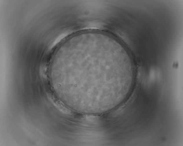 X0000112831258200909111349