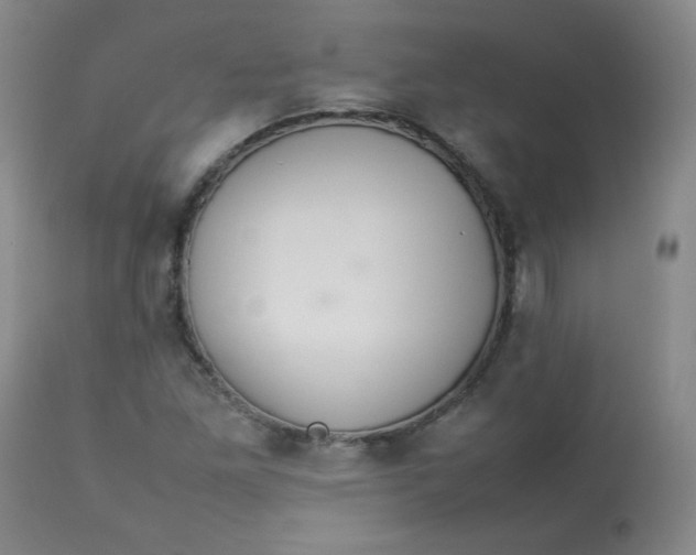 X0000112831261200909111349