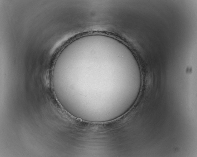 X0000112831262200909111349