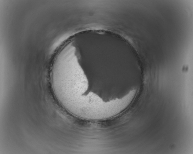 X0000112831263200909111349