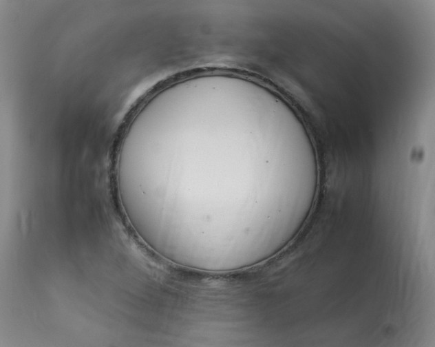 X0000112831264200909111349